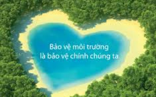 Bảo vệ môi trường tại Việt Nam